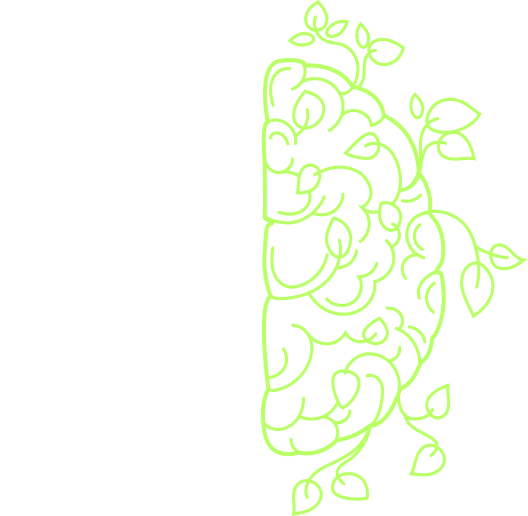 About image